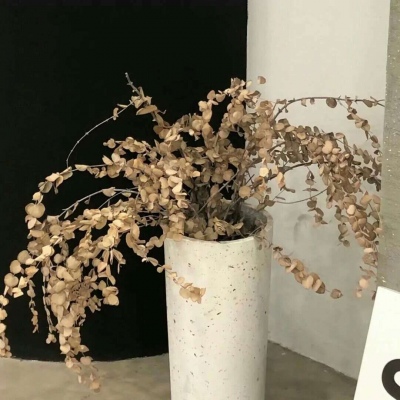 Furry插画故事感灵感福瑞交流群